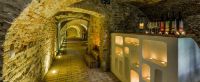 Pronay Castle Hotel 30
